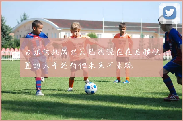吉尔伯托席尔瓦巴西现在在后腰位置的人手还行但未来不乐观