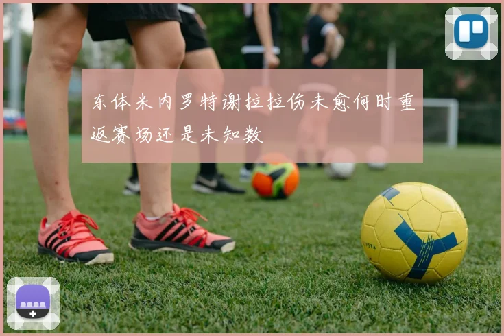 东体米内罗特谢拉拉伤未愈何时重返赛场还是未知数